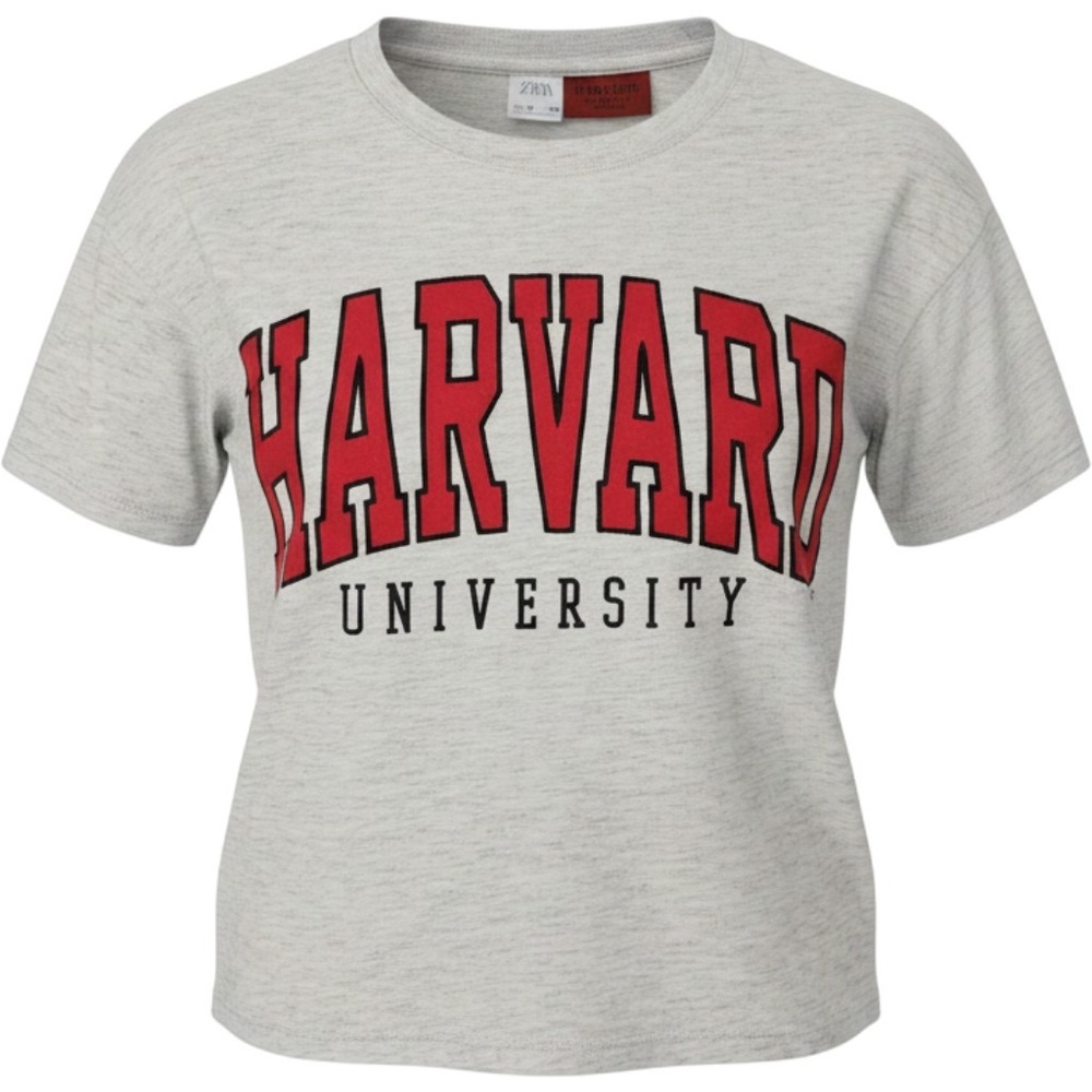 Zara Kids Harvard University Graphic T-Shirt Heather Gray Size 10 140cm